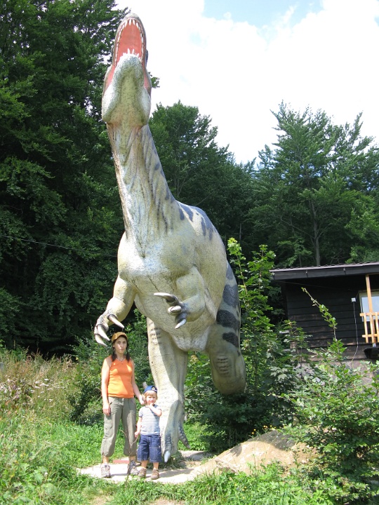 IMG 2371 
