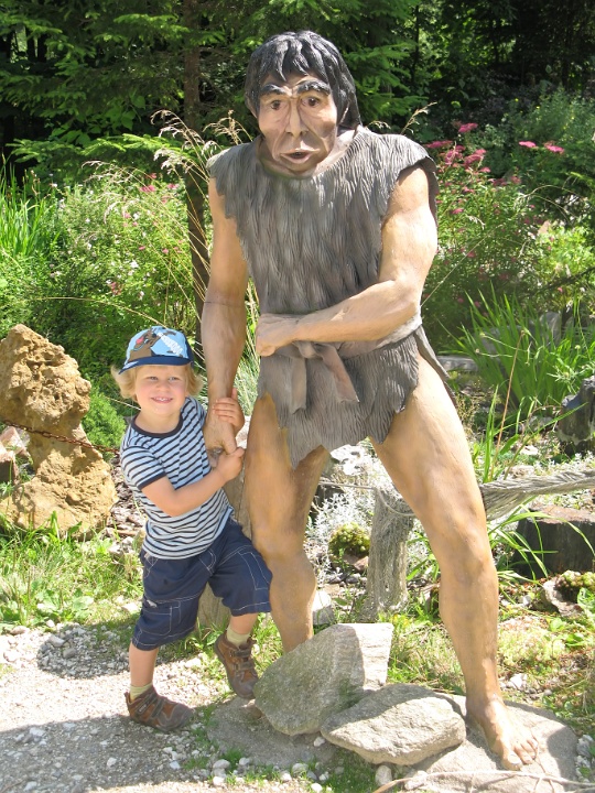 IMG 2374 